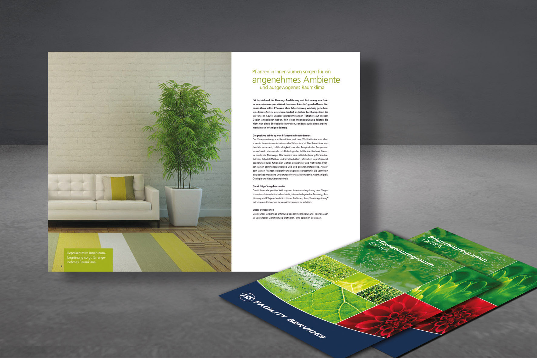 Broschüre ISS, Basel